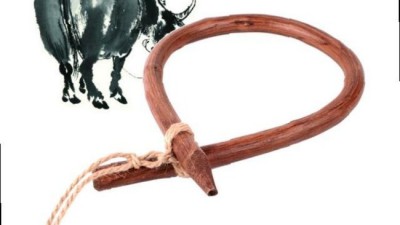 놓치면 후회! 소코뚜레걸기 초특가 후기 📢
