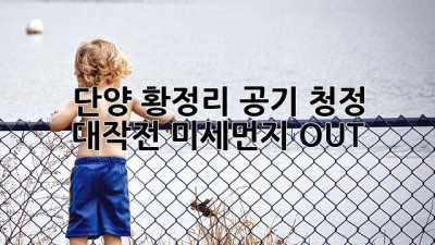 🏡 단양 황정리 공기 청정 대작전! 미세먼지 OUT 💨