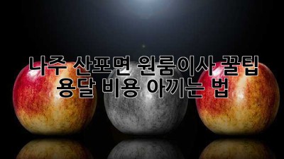 나주 산포면 원룸이사 꿀팁🍯 용달 비용 아끼는 법!